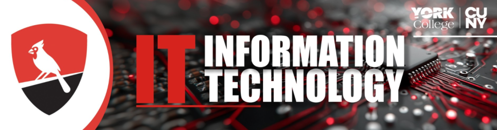 IT Information Technology