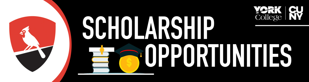 Scholarship Opportunities.png