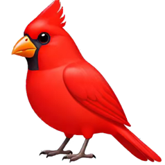 cardinal